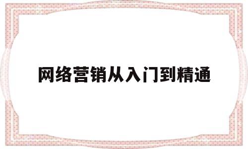 网络营销从入门到精通(网络营销从入门到精通微课版)