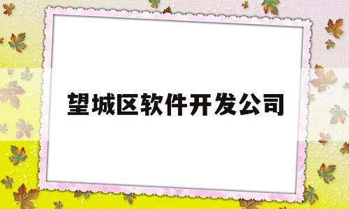 望城区软件开发公司(长沙市望城区发展怎么样)