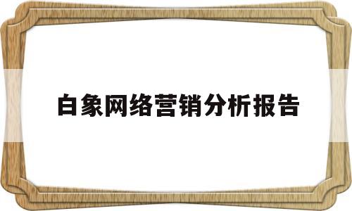 白象网络营销分析报告(白象网络营销分析报告怎么写)