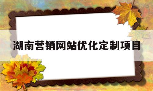 湖南营销网站优化定制项目(湖南营销网站优化定制项目中标公告)