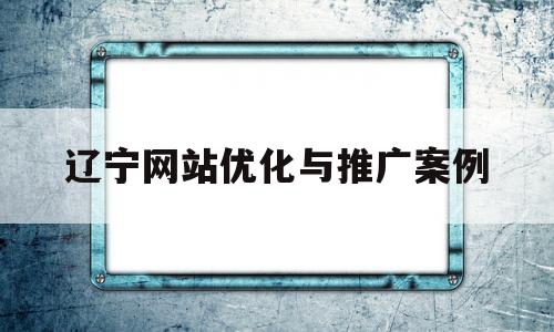 辽宁网站优化与推广案例的简单介绍