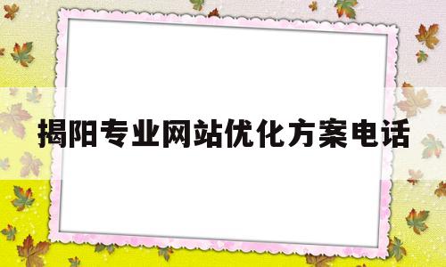 揭阳专业网站优化方案电话的简单介绍