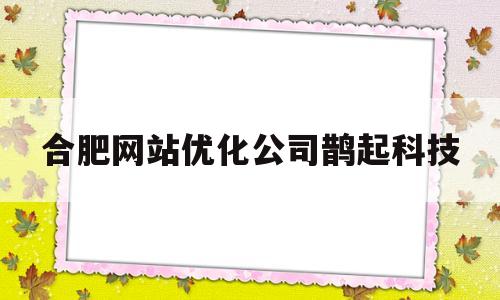 合肥网站优化公司鹊起科技(合肥网站优化公司 鹊起科技)