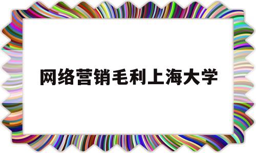 网络营销毛利上海大学(网络营销在大学是什么专业)