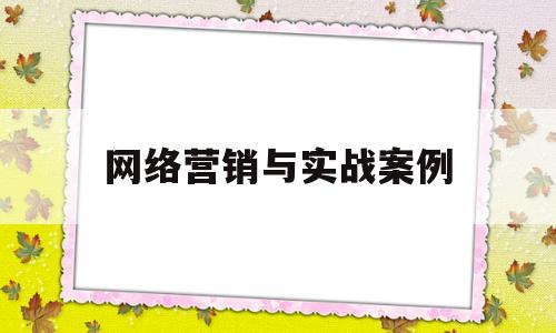 网络营销与实战案例(网络营销案例分析与实践)