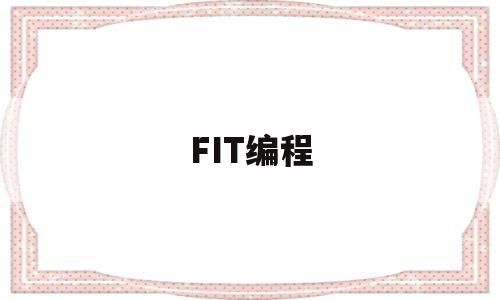 FIT编程(fitness是什么意思)