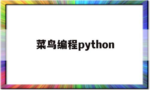 菜鸟编程python(菜鸟编程pythoninput)