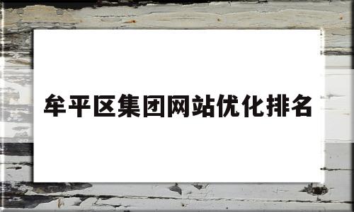 关于牟平区集团网站优化排名的信息