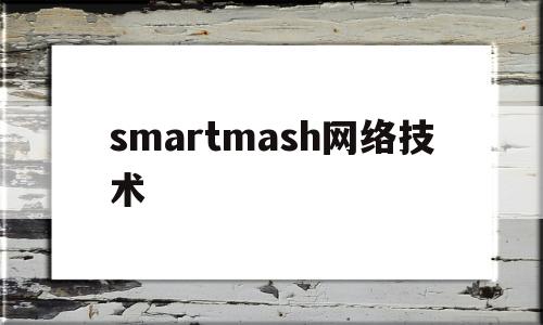 smartmash网络技术(smart connectivity)