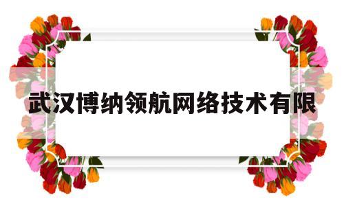 武汉博纳领航网络技术有限(武汉博纳领航网络技术有限公司是国企么)