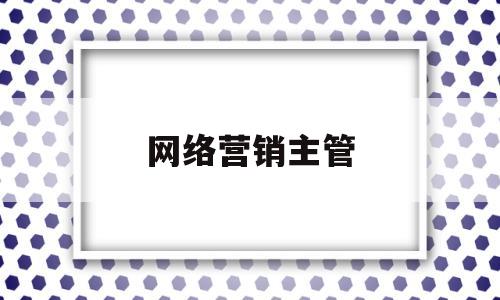 网络营销主管(网络营销主管的任职要求)