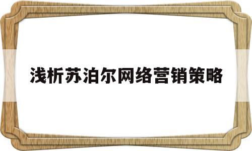 关于浅析苏泊尔网络营销策略的信息