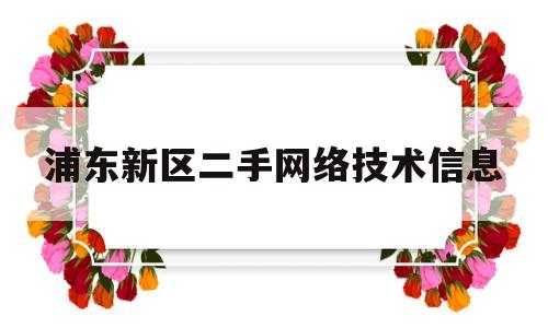 浦东新区二手网络技术信息(上海浦东新区二手手机交易市场)