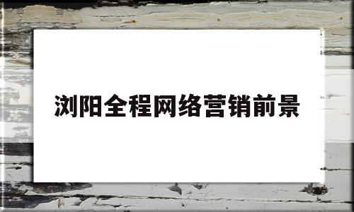 浏阳全程网络营销前景的简单介绍