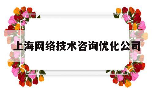 上海网络技术咨询优化公司(上海网络技术咨询优化公司招聘)