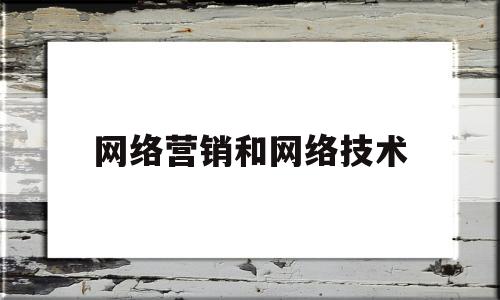 网络营销和网络技术(网络营销和网络技术哪个好)