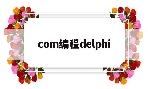 包含com编程delphi的词条