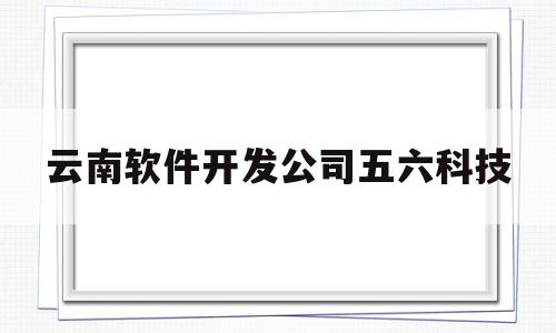 云南软件开发公司五六科技(云南软件开发公司五六科技怎么样)