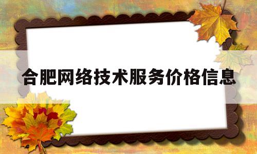 包含合肥网络技术服务价格信息的词条