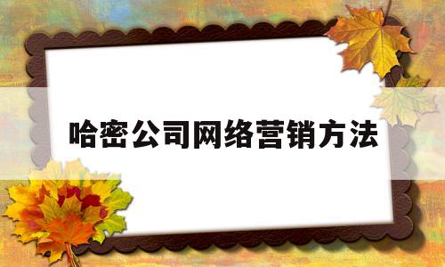 哈密公司网络营销方法(常见的网络营销方法有哪些?)