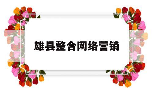 雄县整合网络营销(网络营销整合性特点)