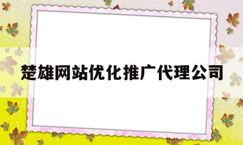 楚雄网站优化推广代理公司(云南网络推广seo代理公司)