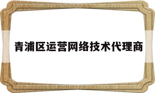 包含青浦区运营网络技术代理商的词条