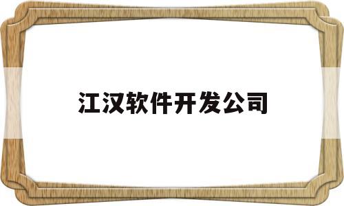 江汉软件开发公司(江汉软件开发公司招聘)