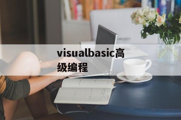 visualbasic高级编程(visualbasic高级编程pdf)