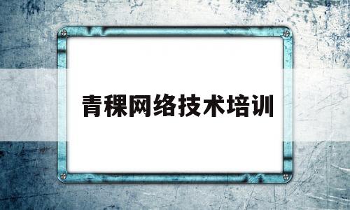 青稞网络技术培训(青稞文化传媒有限公司)