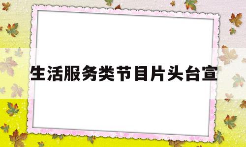 包含生活服务类节目片头台宣的词条