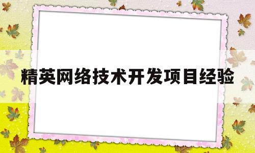 精英网络技术开发项目经验(精英网络技术开发项目经验分享)