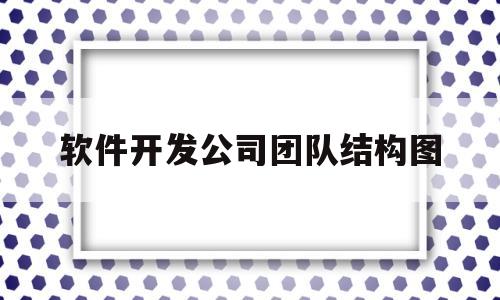 软件开发公司团队结构图(一个软件开发团队有些什么分工)