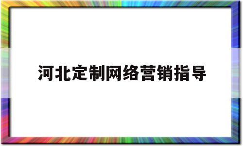 河北定制网络营销指导(网络营销的定制化有助于实现以什么为中心的营销理念)