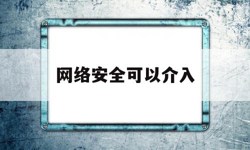 关于网络安全可以介入的信息