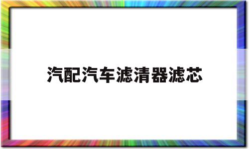 汽配汽车滤清器滤芯(汽车空气滤清器滤芯分总成是什么)