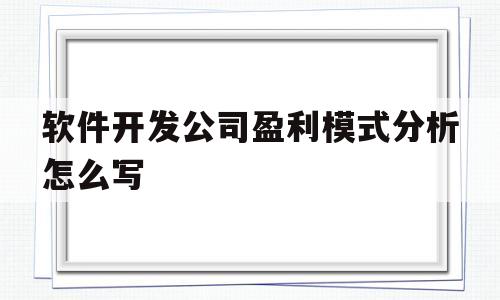 软件开发公司盈利模式分析怎么写(软件开发公司盈利模式分析怎么写的)