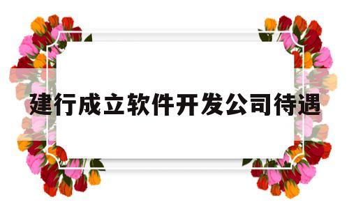 建行成立软件开发公司待遇的简单介绍