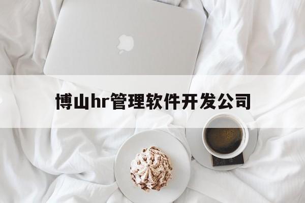 博山hr管理软件开发公司(博山hr管理软件开发公司怎么样)