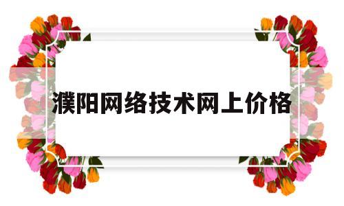 濮阳网络技术网上价格(濮阳数字网络科技有限公司)