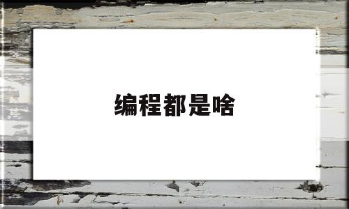 编程都是啥(编程是什么东东)