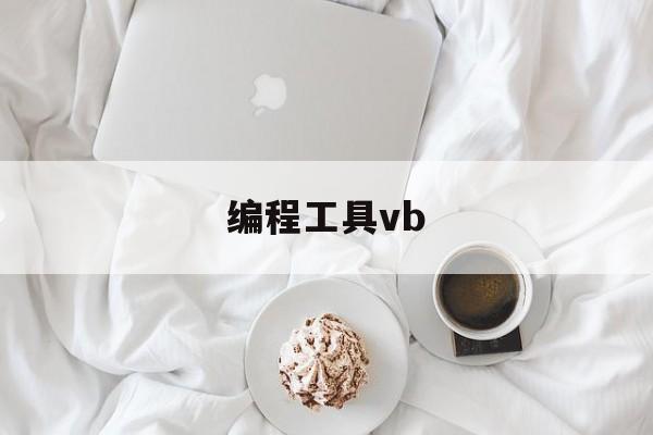 编程工具vb(编程工具属于什么软件)