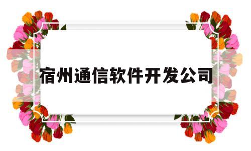 宿州通信软件开发公司(通信软件开发用什么编程语言)