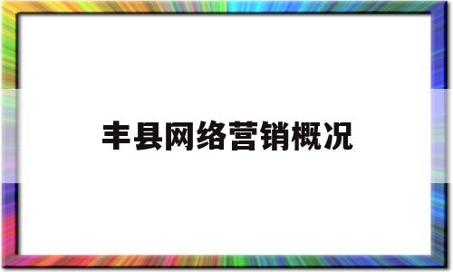 丰县网络营销概况(网络营销岗位招聘信息)