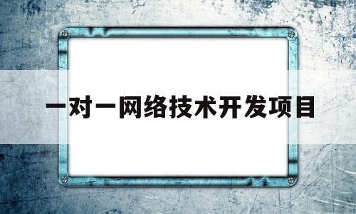 一对一网络技术开发项目(一对一网络技术开发项目有哪些)