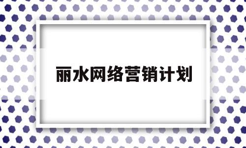 丽水网络营销计划(网络营销方案5000字)