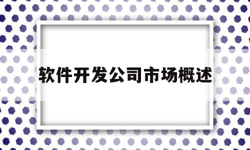 软件开发公司市场概述(软件开发公司市场概述范文)