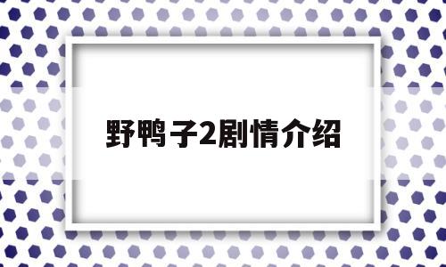 野鸭子2剧情介绍(野鸭子剧情介绍电视)