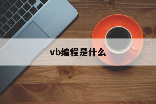 vb编程是什么(vb编程的基本步骤)