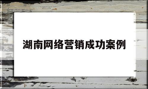 湖南网络营销成功案例(2020网络营销成功案例)